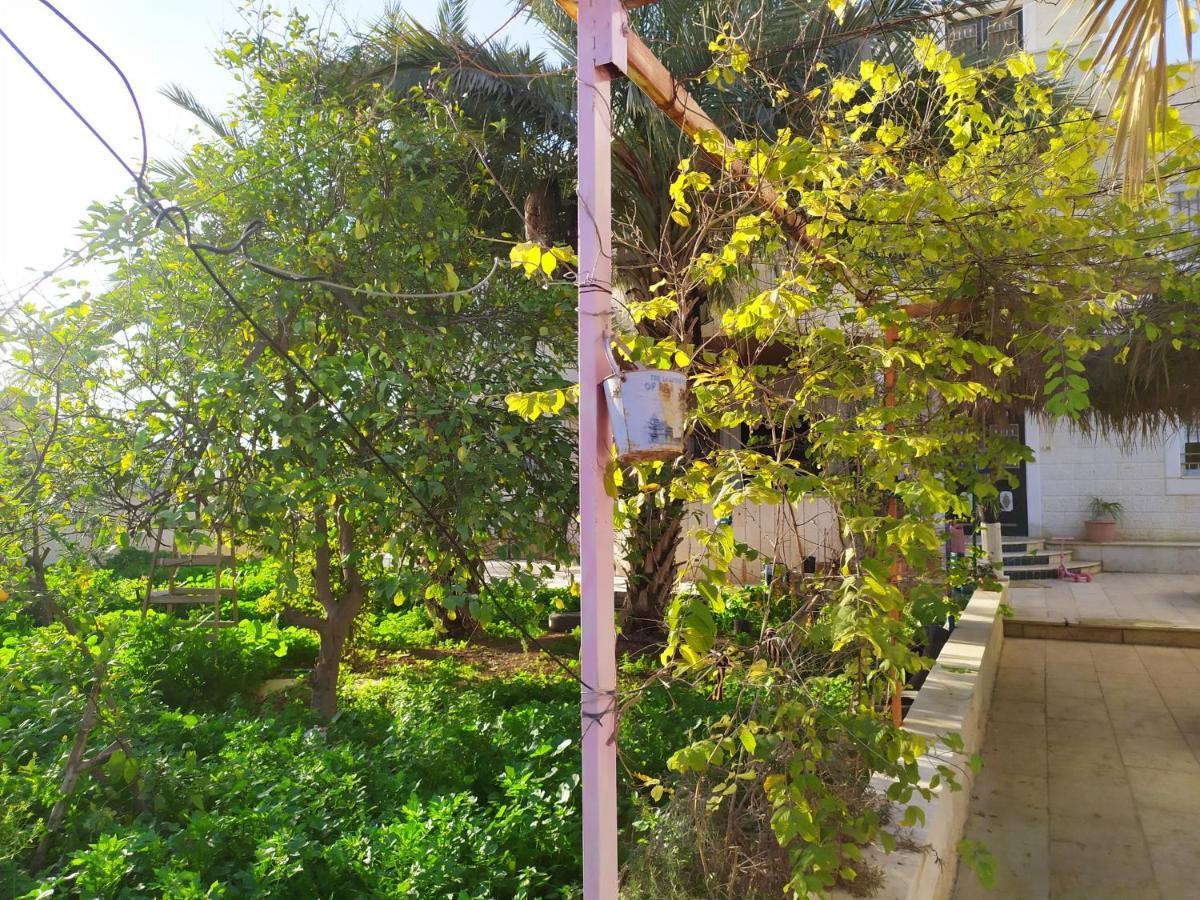 Bnb La Luna Entire Apartment Jericho Exterior photo